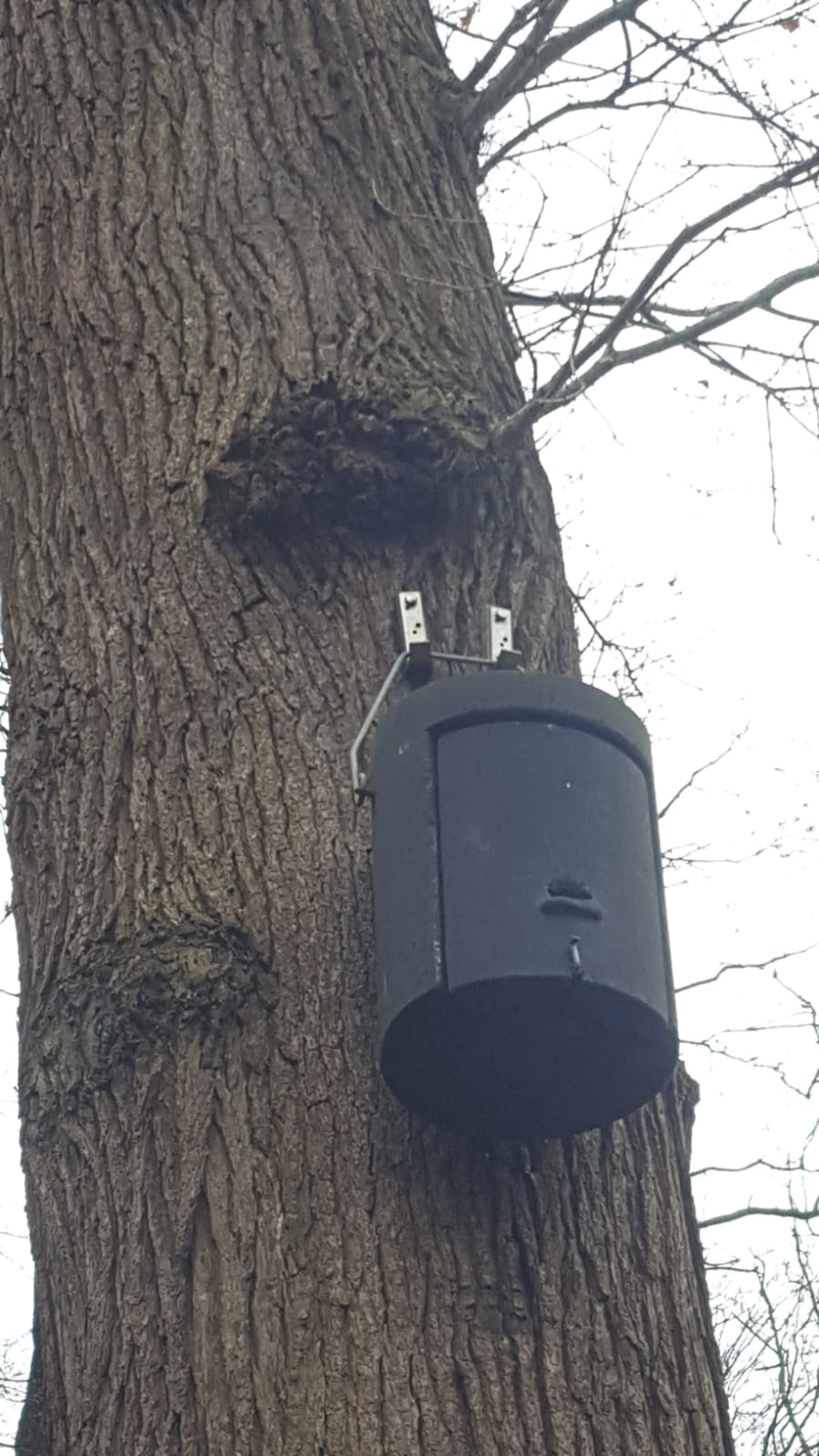 Wie kent deze nestkast?